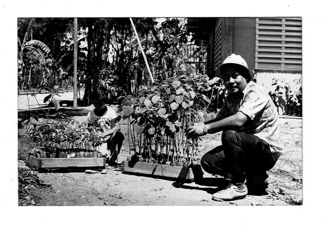 Watts on the farm